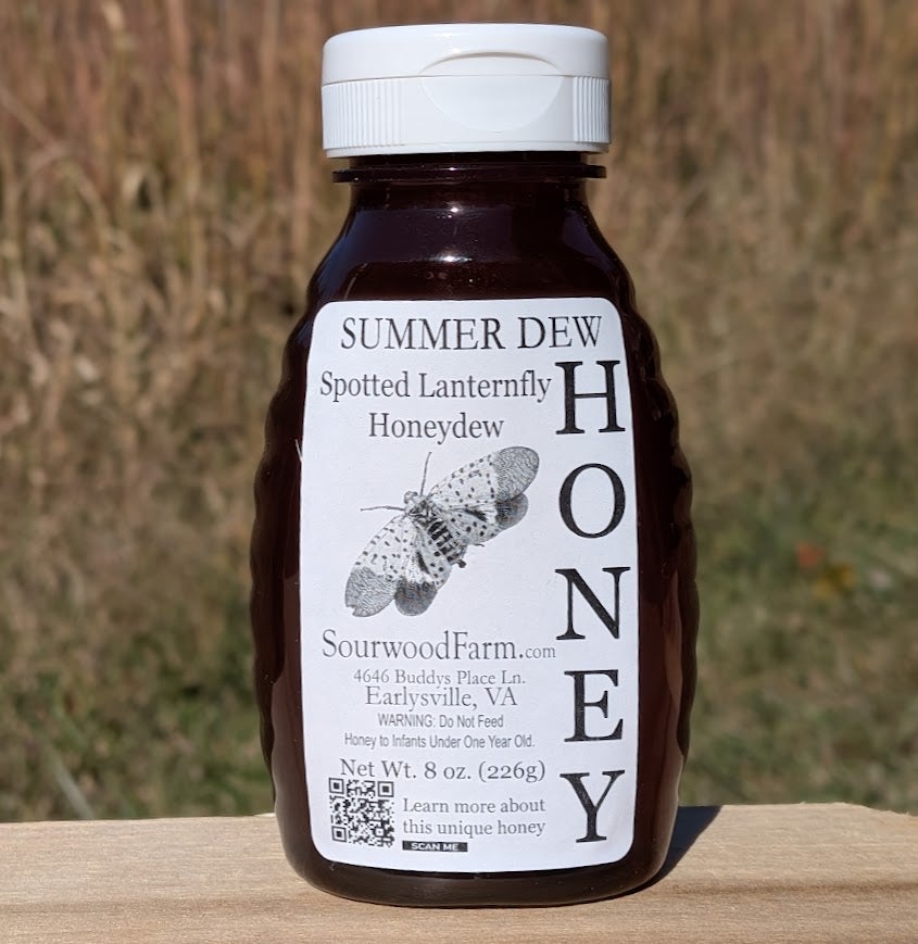 8oz SLF 🐞 Honey | Sourwood Farm