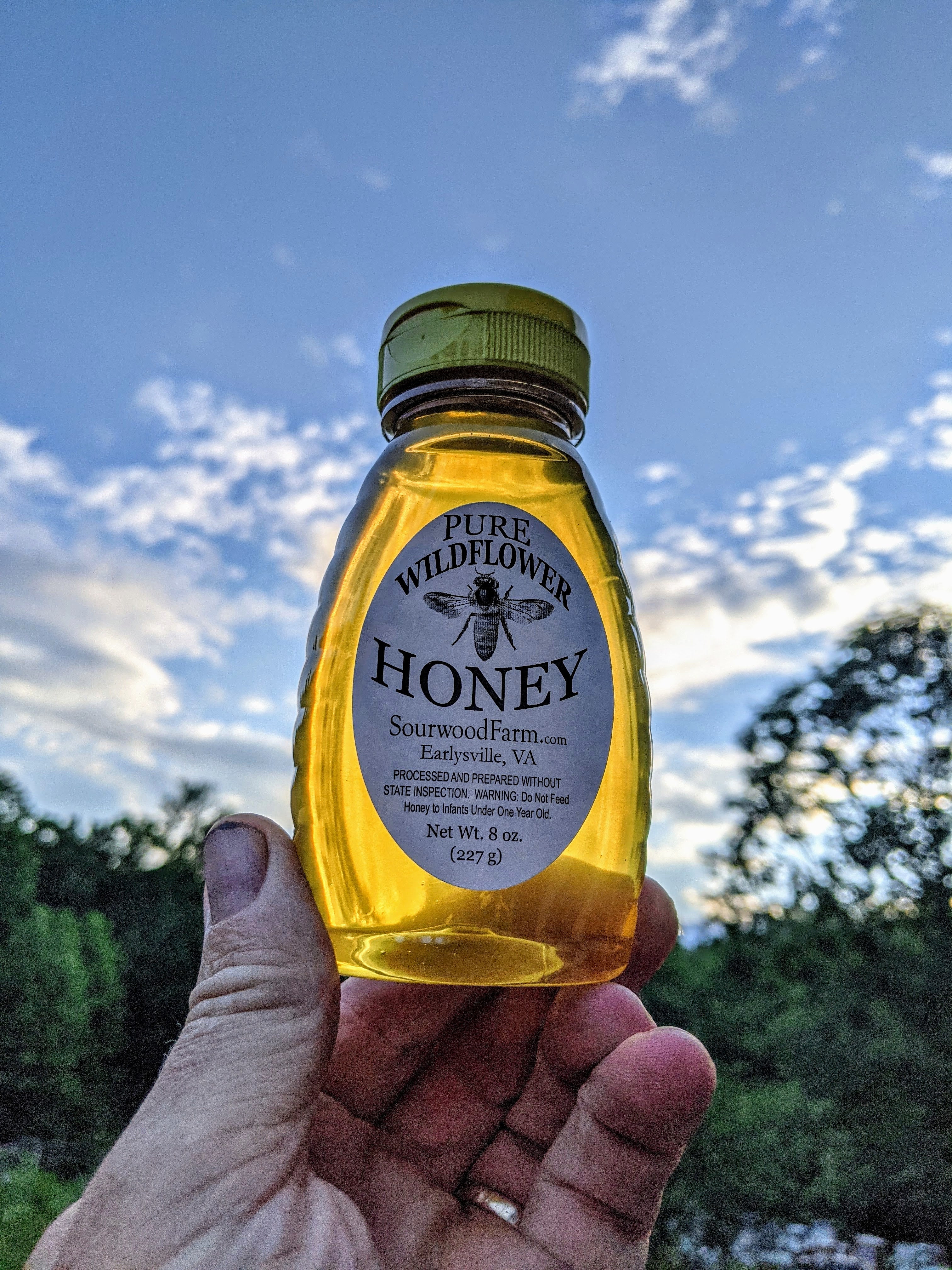8oz Squeeze Wildflower Honey. | Sourwood Farm